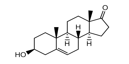 Dehydro Epiandrosterone